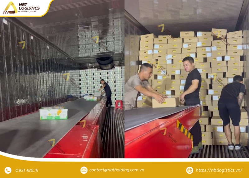 chuoi-cung-ung-lanh-cold-chain-3